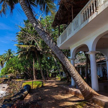 Palm Villa Mirissa Hotel&Spa エクステリア 写真
