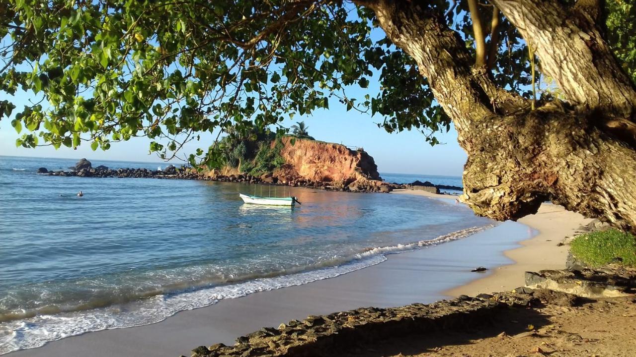 Palm Villa Mirissa Hotel&Spa エクステリア 写真