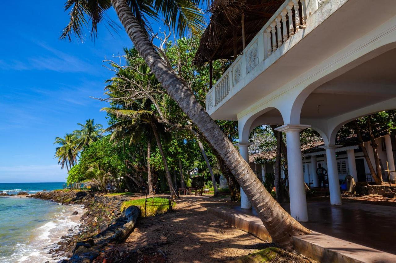 Palm Villa Mirissa Hotel&Spa エクステリア 写真