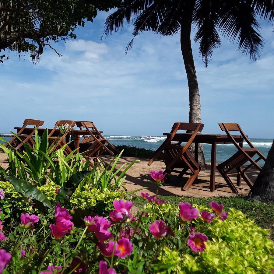 Palm Villa Mirissa Hotel&Spa エクステリア 写真