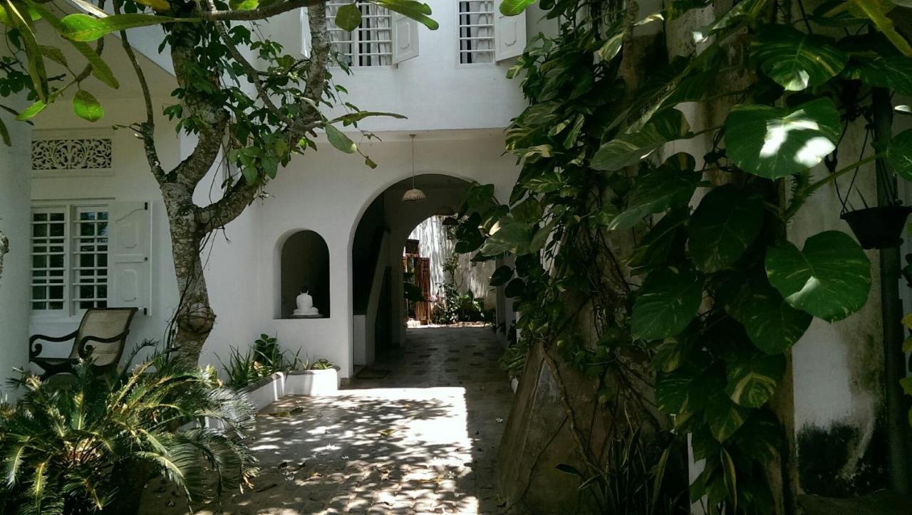 Palm Villa Mirissa Hotel&Spa エクステリア 写真