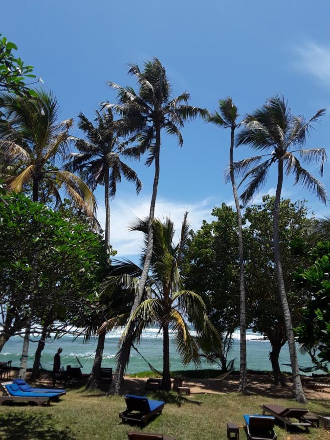 Palm Villa Mirissa Hotel&Spa エクステリア 写真