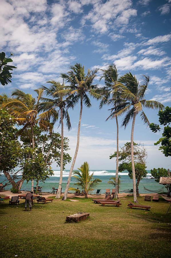 Palm Villa Mirissa Hotel&Spa エクステリア 写真